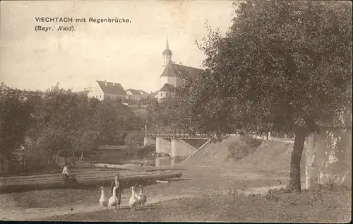 Viechtach Regenbruecke Enten