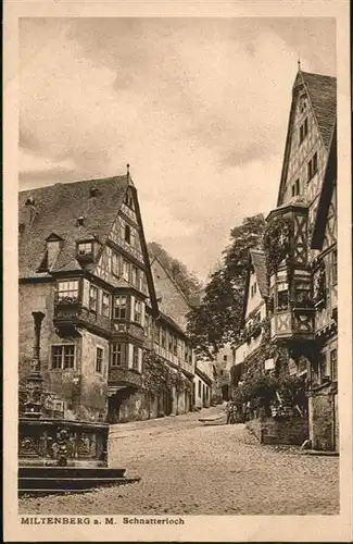 Miltenberg Schnatterloch Brunnen