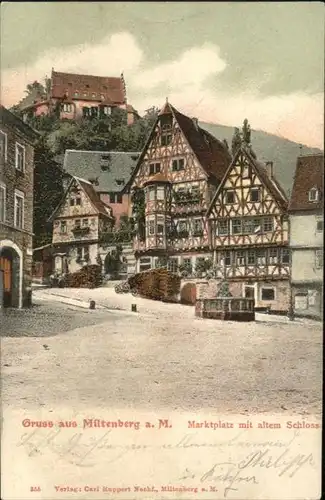 Miltenberg Marktplatz Schloss 
