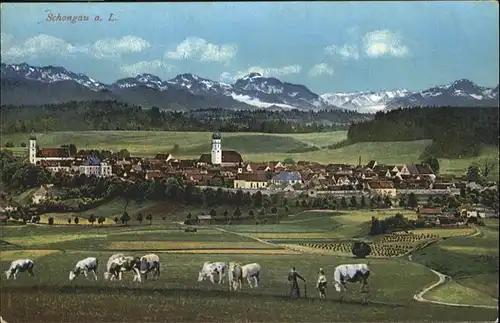 Schongau Kuehe