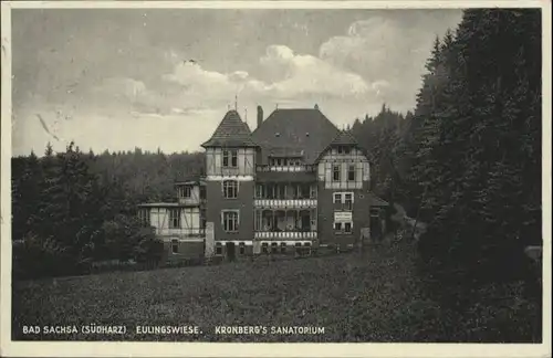 Bad Sachsa Eulingswiese Kronberg's Sanatorium x