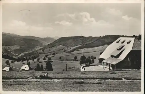 Todtnauberg Jugendherberge Fleinerhaus x