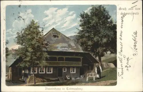 Todtnauberg Bauernhaus x