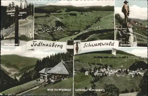 Todtnauberg Wiesental Brunnen x