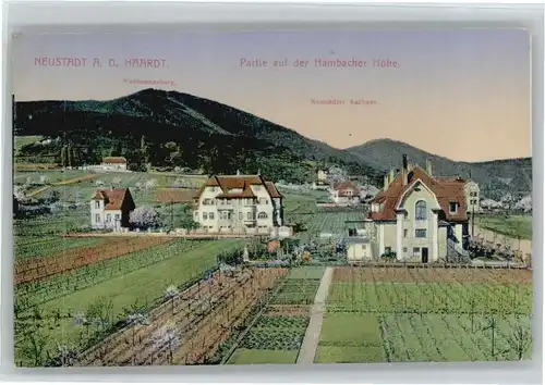 Neustadt Weinstrasse Hambacher Hoehe x