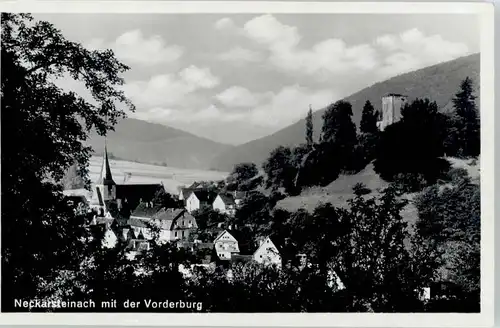 Neckarsteinach Vorderburg *