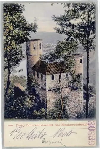 Neckarsteinach Burg Schwalbennest *