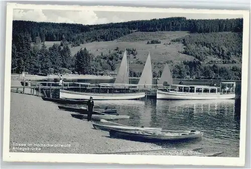 Titisee Anlegebruecke *