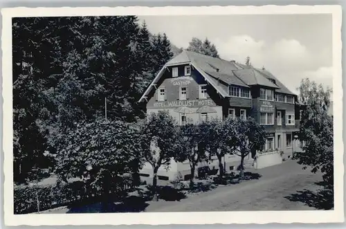 Titisee Hotel Gasthof Waldlust *