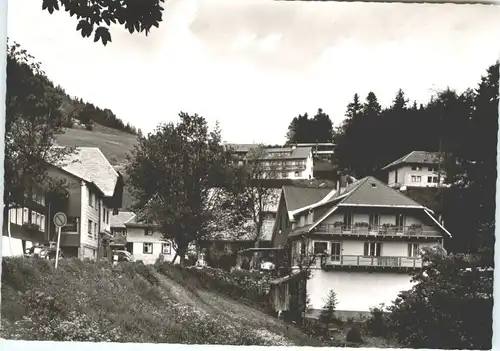 Todtnauberg  *