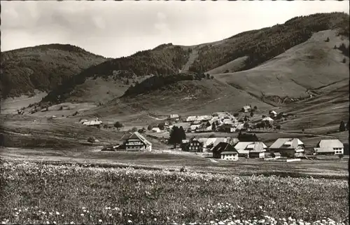 Bernau Geburtsort Hans Thoma *