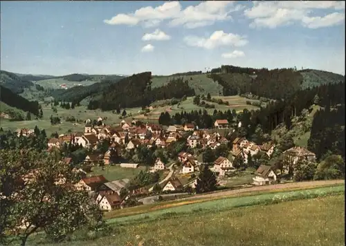 Lenzkirch  *