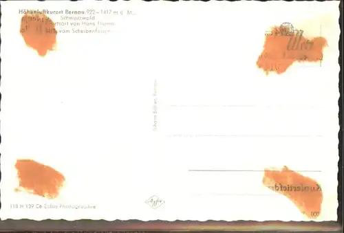 Bernau Schwarzwald  *
