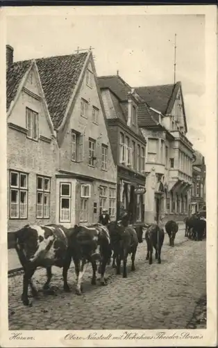 Husum Nordfriesland Husum Neustadt Wohnhaus Theodor Storm Kuh * / Husum /Nordfriesland LKR