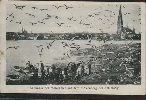 Schleswig Holstein Schleswig Moewenberg x / Schleswig /Schleswig-Flensburg LKR