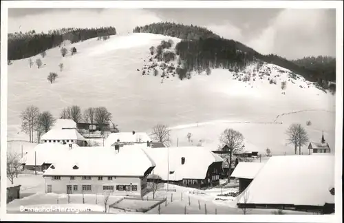 Bernau Schwarzwald Herzogenhorn *