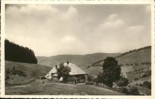 Todtnauberg Pension Bader-Kaiser Kat. Todtnau