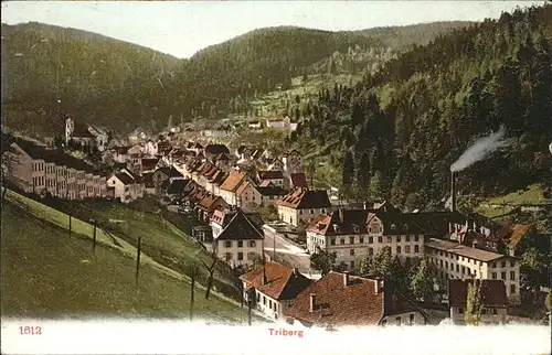 Triberg Schwarzwald  Kat. Triberg im Schwarzwald