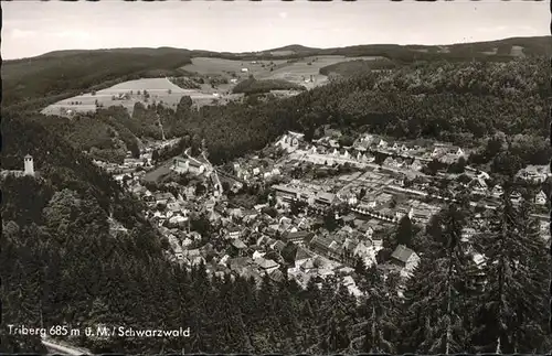 Triberg Schwarzwald  Kat. Triberg im Schwarzwald