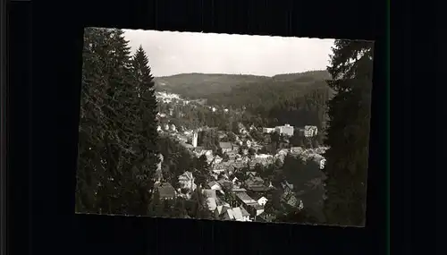 Triberg Schwarzwald  Kat. Triberg im Schwarzwald