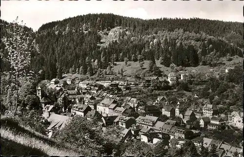 Triberg Schwarzwald  Kat. Triberg im Schwarzwald