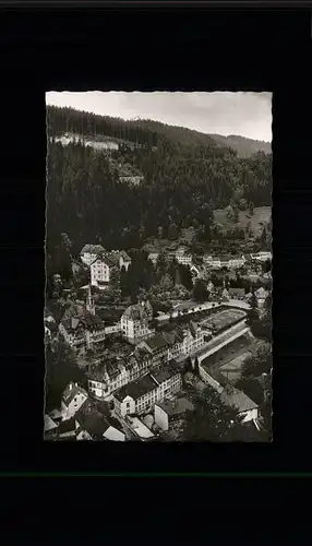 Triberg Schwarzwald  Kat. Triberg im Schwarzwald