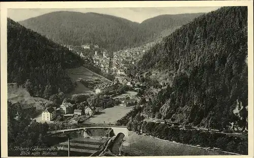 Triberg Schwarzwald vom Hahnen  Kat. Triberg im Schwarzwald