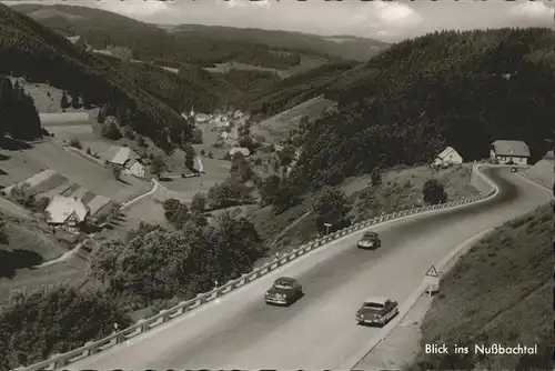 Triberg Schwarzwald Nussbachtal Kat. Triberg im Schwarzwald