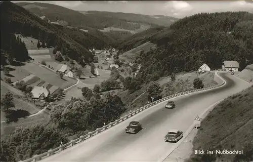 Triberg Schwarzwald Nussbachtal Kat. Triberg im Schwarzwald