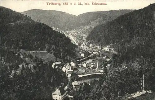 Triberg Schwarzwald  Kat. Triberg im Schwarzwald