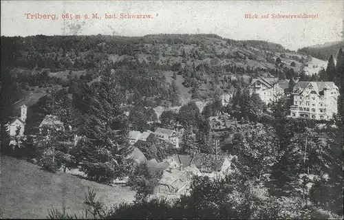 Triberg Schwarzwald Schwarzwald Hotel  Kat. Triberg im Schwarzwald