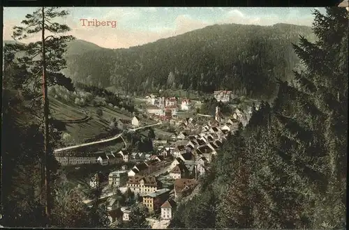 Triberg Schwarzwald  Kat. Triberg im Schwarzwald