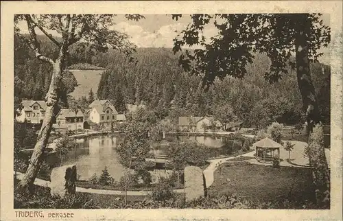 Triberg Schwarzwald Bergsee Kat. Triberg im Schwarzwald