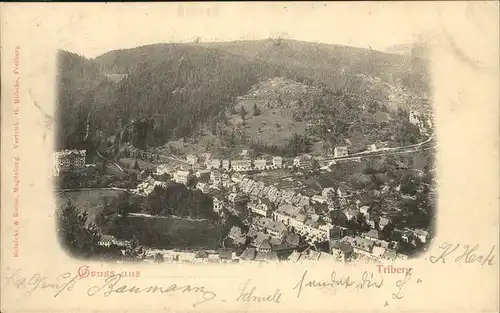 Triberg Schwarzwald  Kat. Triberg im Schwarzwald