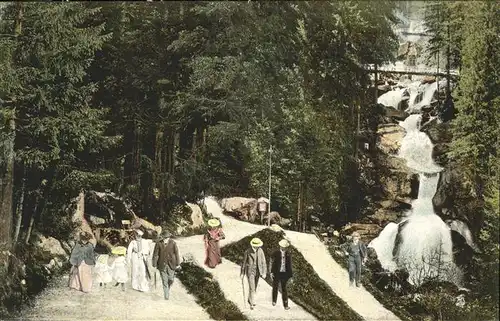 Triberg Schwarzwald Wasserfall Kat. Triberg im Schwarzwald