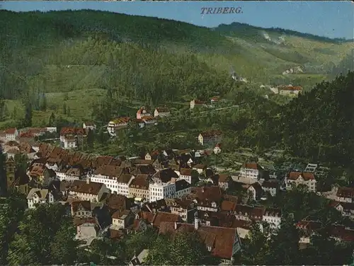 Triberg Schwarzwald  Kat. Triberg im Schwarzwald