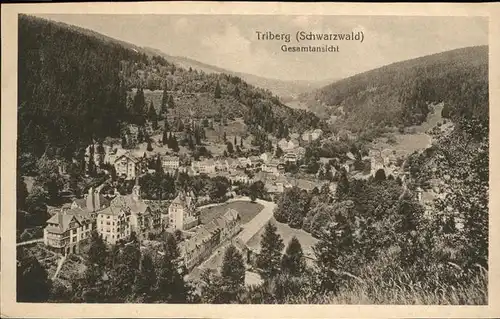 Triberg Schwarzwald  Kat. Triberg im Schwarzwald