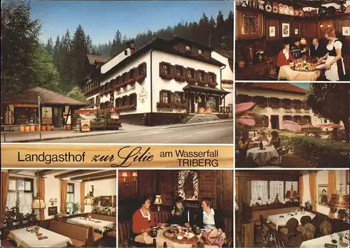 Triberg Schwarzwald Landgasthof zur Lilie am Wasserfall Kat. Triberg im Schwarzwald