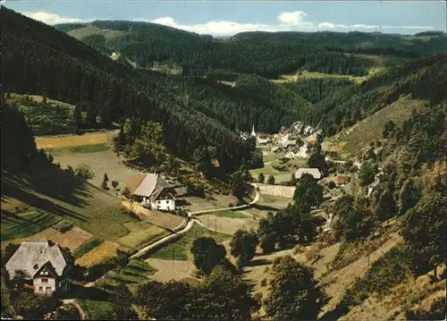 Triberg Schwarzwald Nussbachtal Kat. Triberg im Schwarzwald