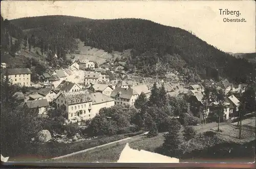 Triberg Schwarzwald  Kat. Triberg im Schwarzwald