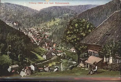 Triberg Schwarzwald  Kat. Triberg im Schwarzwald