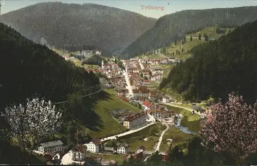 Triberg Schwarzwald  Kat. Triberg im Schwarzwald