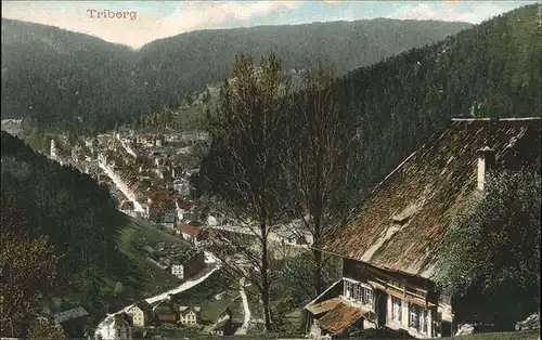 Triberg Schwarzwald  Kat. Triberg im Schwarzwald