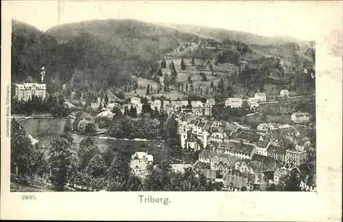 Triberg Schwarzwald  Kat. Triberg im Schwarzwald