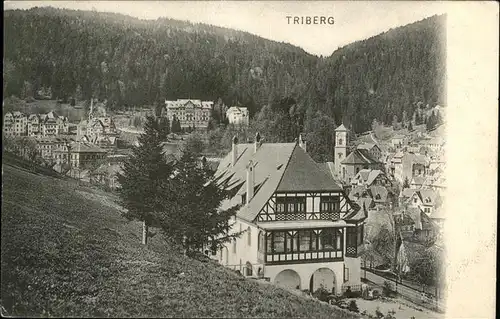 Triberg Schwarzwald  Kat. Triberg im Schwarzwald