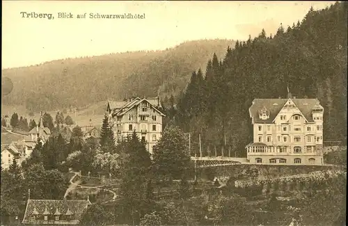 Triberg Schwarzwald Schwarzwaldhotel Kat. Triberg im Schwarzwald