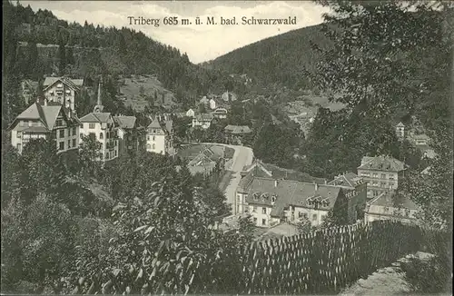 Triberg Schwarzwald  Kat. Triberg im Schwarzwald