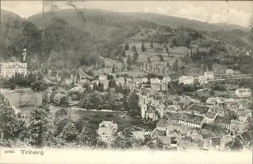 Triberg Schwarzwald  Kat. Triberg im Schwarzwald