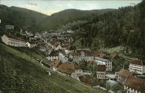 Triberg Schwarzwald  Kat. Triberg im Schwarzwald