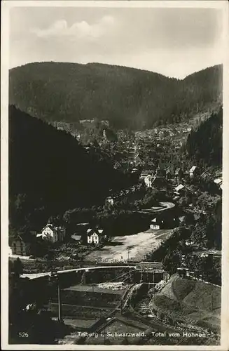 Triberg Schwarzwald  Kat. Triberg im Schwarzwald